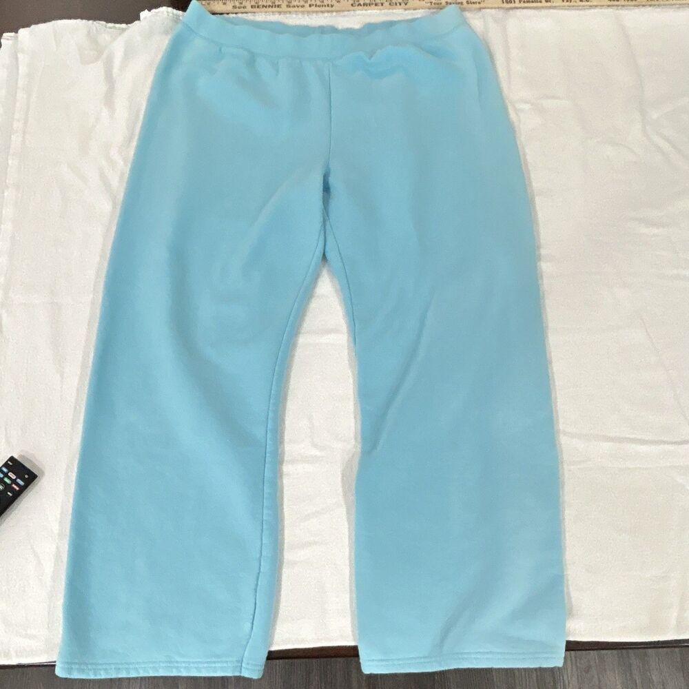 Hanes Women’s Blue Fleece Sweatpants L Elastic Waist Flat Front Straight 32”0142